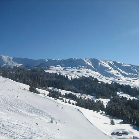Alpenresidenz Adler 4* Kirchberg in Tirol
