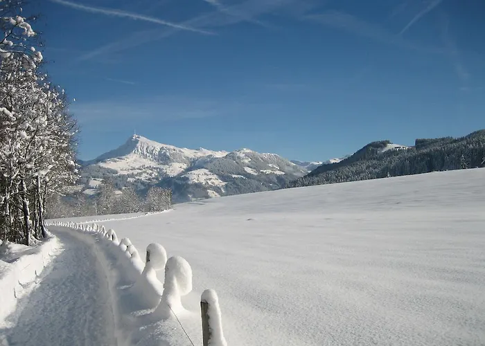 Alpenresidenz Adler Kirchberg in Tirol