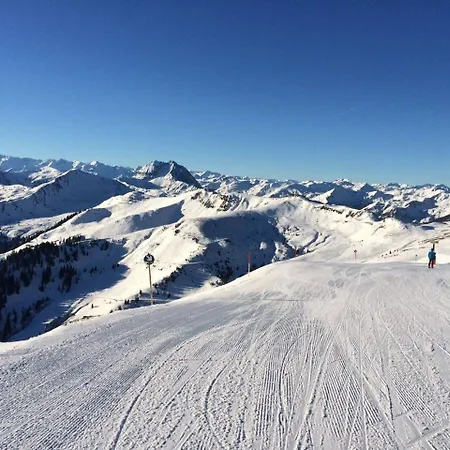 Alpenresidenz Adler Ξενοδοχείο Κίρχμπεργκ ιν Τιρόλ
