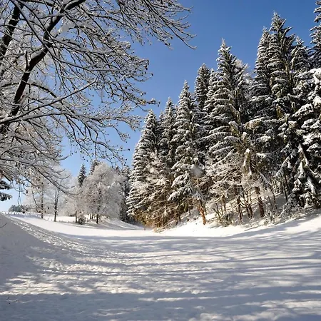 Ξενοδοχείο Alpenresidenz Adler
