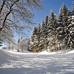 فندق Alpenresidenz Adler