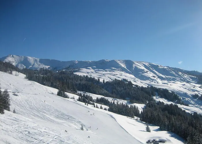 Alpenresidenz Adler 4* קירשברג אין טירול