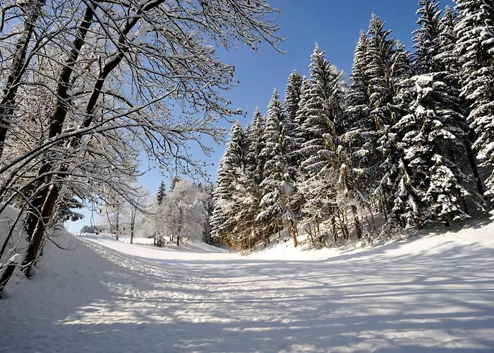 מלון Alpenresidenz Adler